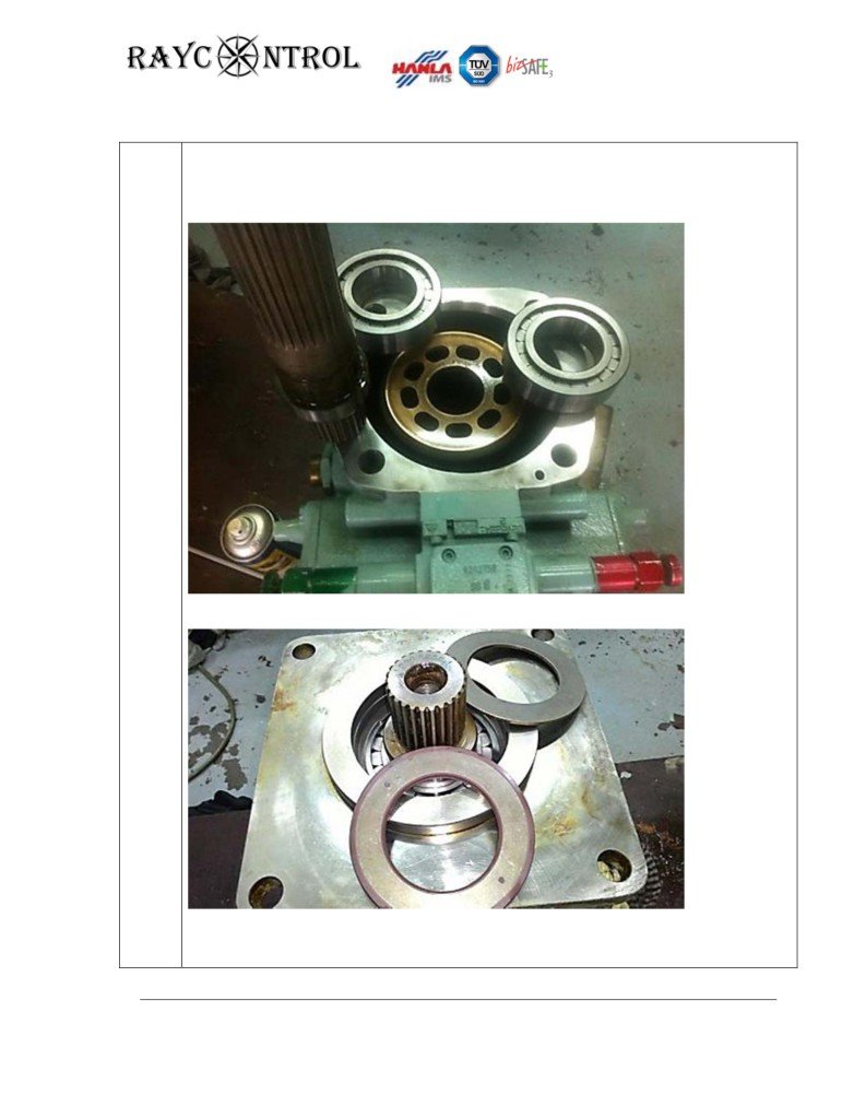 RENEWAL OF SEALS AND BEARINGS